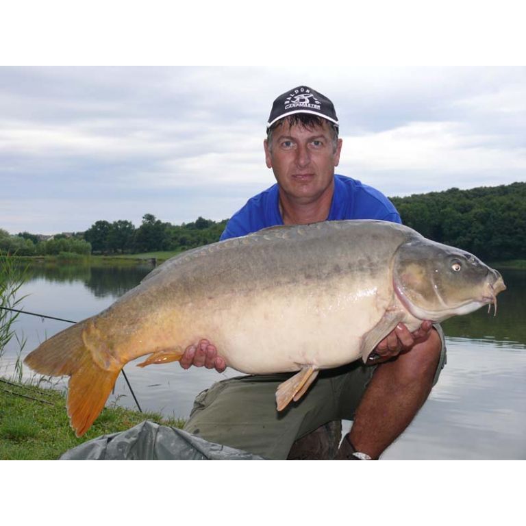 Majd legnagyobb tükörpontyát terelhette szákba, amely 16,34 kg!