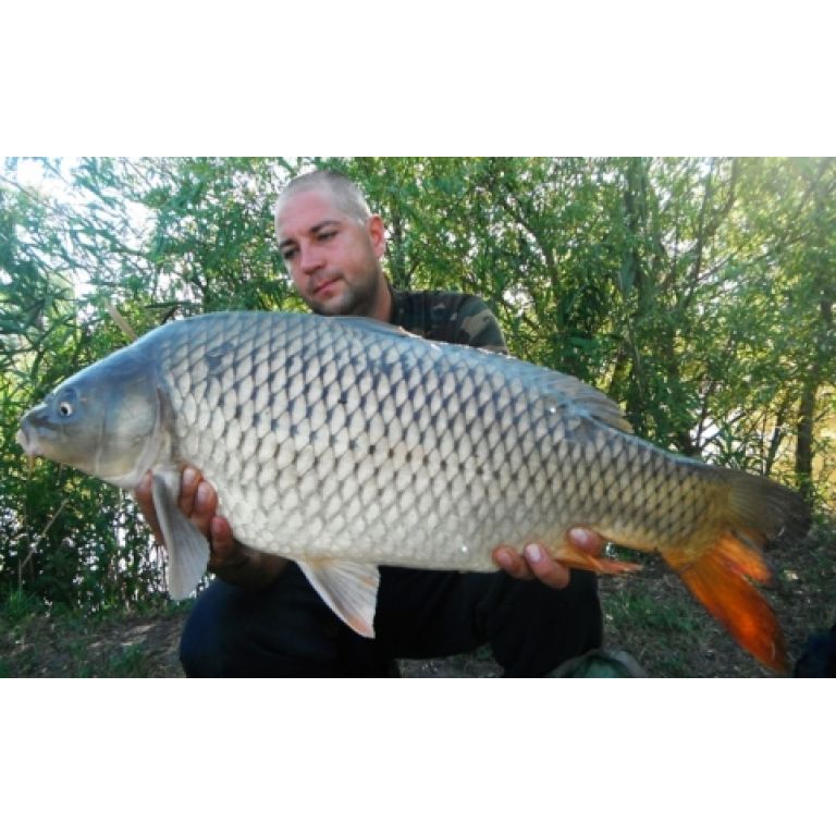 10.50 kg