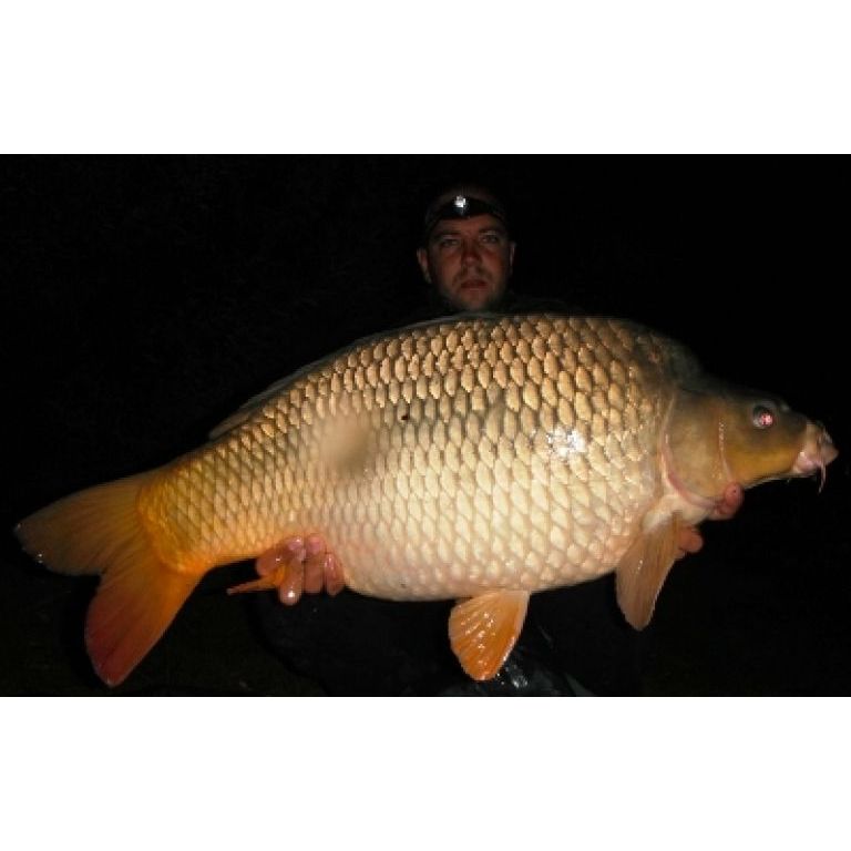 14.80Kg