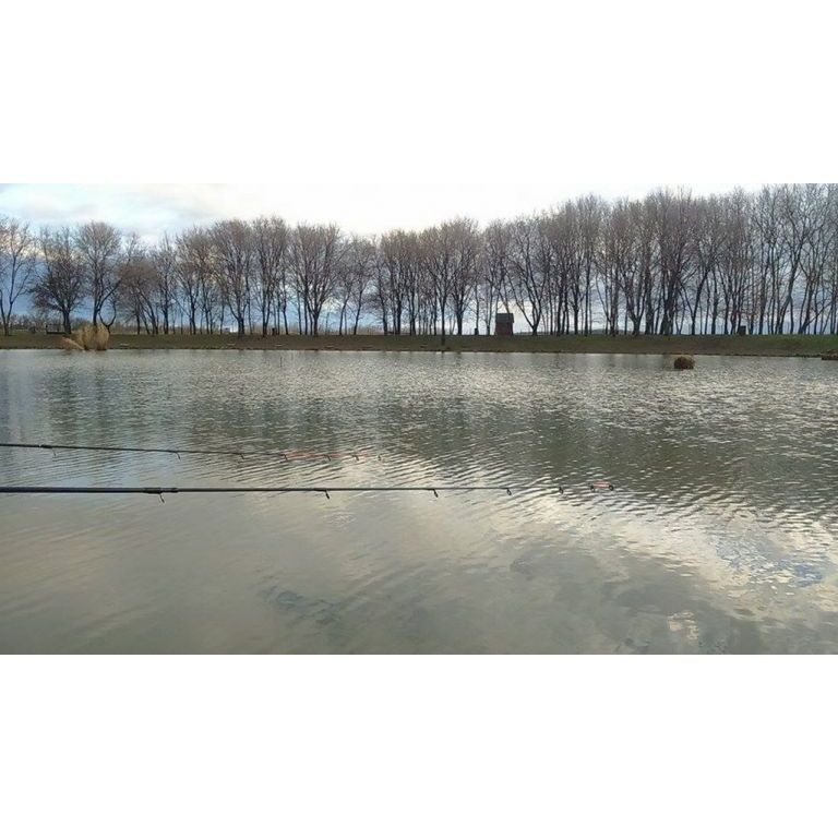 A tó nagy részét nem rég még jégpáncél borította