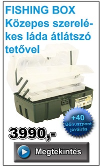 FISHING BOX Közepes szerelékes láda átlátszó tetővel