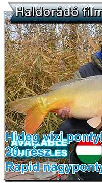 Hideg vízi pontyhorgászat feederrel 20. rész – Rapid nagyponty-horgászat