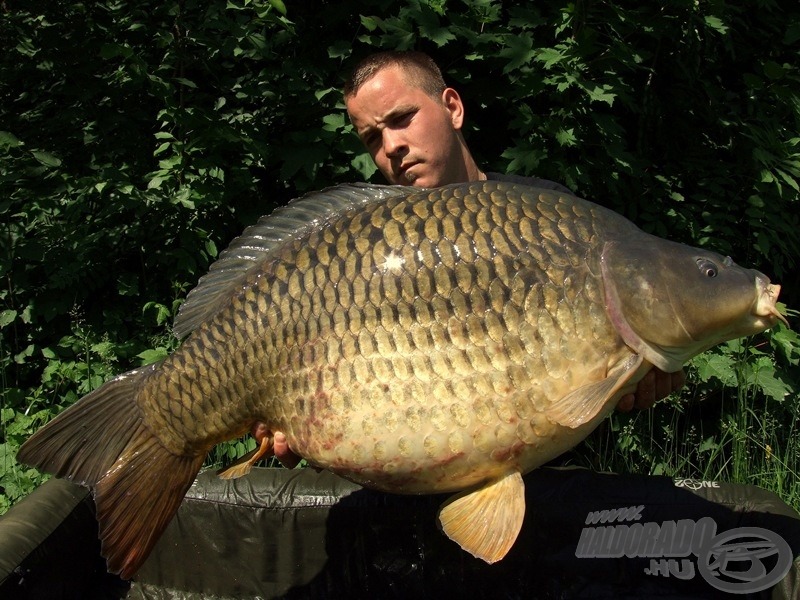 Matjaz májusi túrájának első nagyobb hala 23,6 kg…