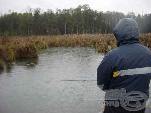 A növényfal előtti területektől vártuk a csodát