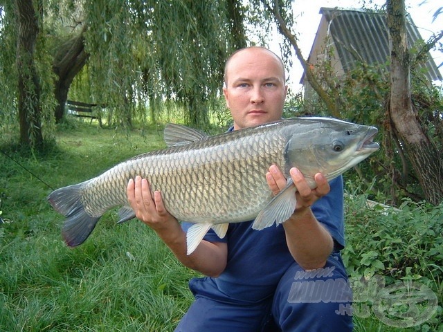 10,10 kg-os amur (Merenye)