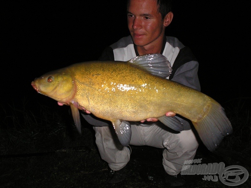 Egy 2009-es, szintén szép nagyra nőtt példány, őt 2,6 kg-mal mérlegeltem