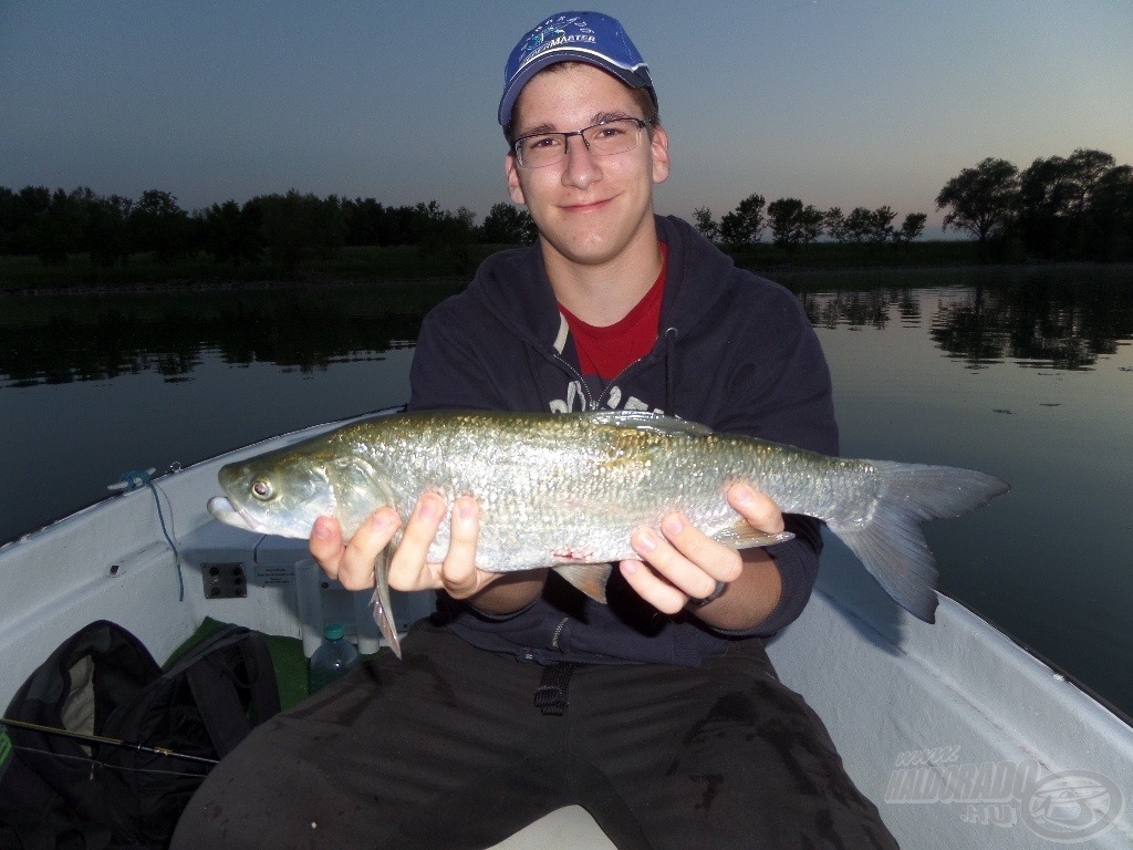 Alkonyati balin a Tisza-tóból