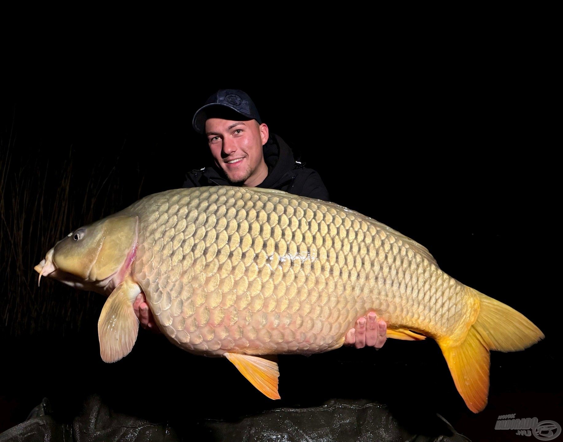Sorban érkeztek a 15 kg feletti halak