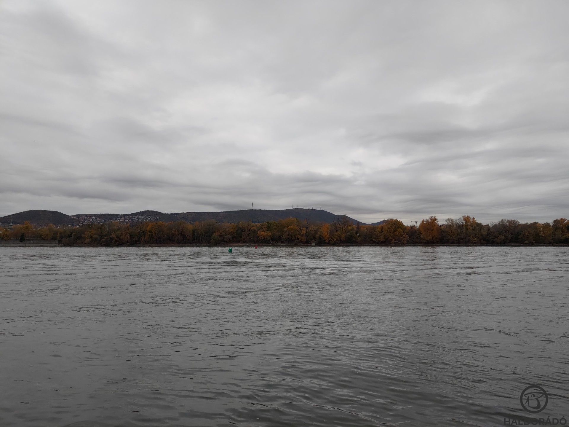 Nem gondoltam volna, hogy a „betondzsungel” közepén ilyen csodás a kilátás