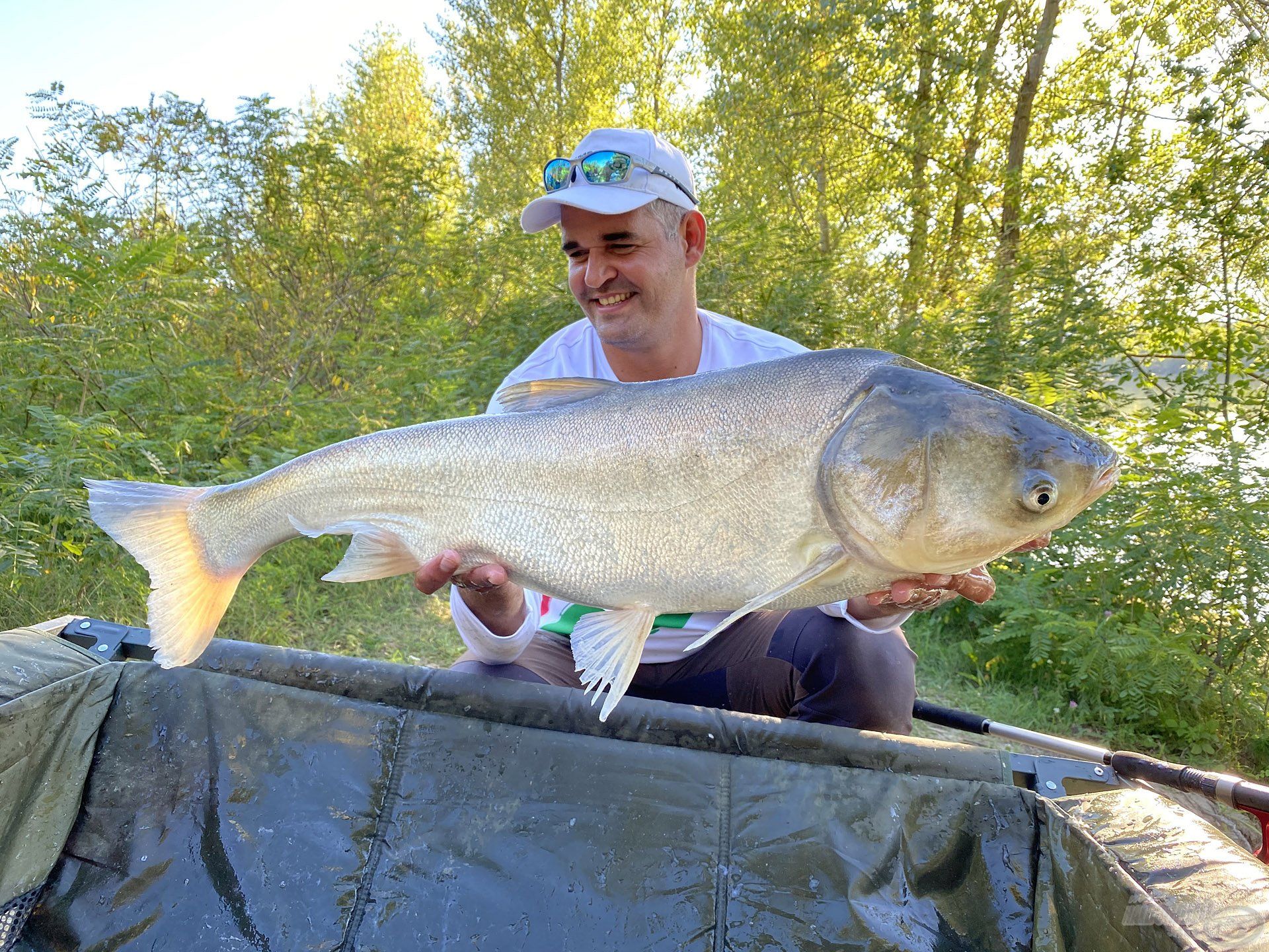 Egy szebbecske példány