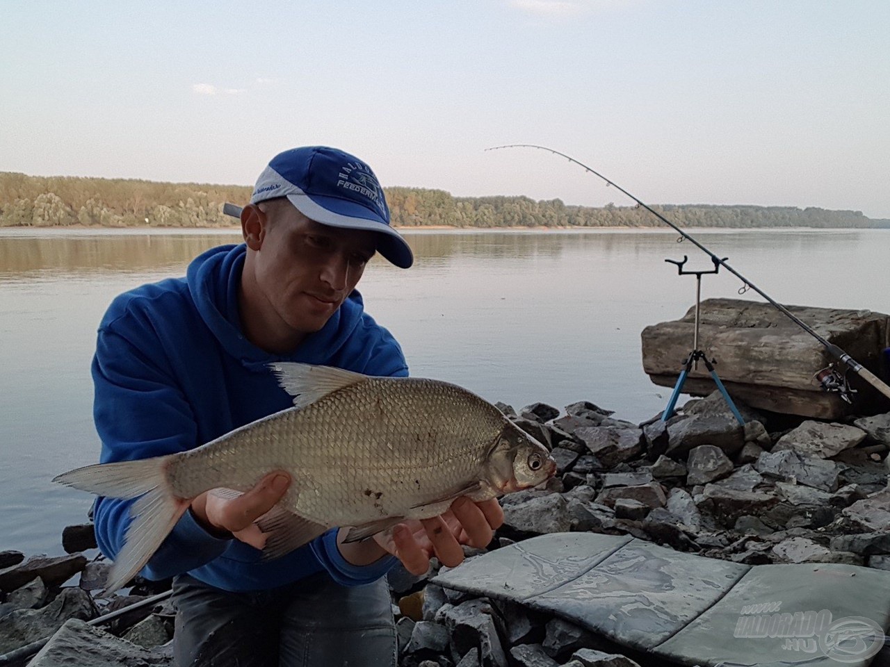 Megérkezett nap első hala…