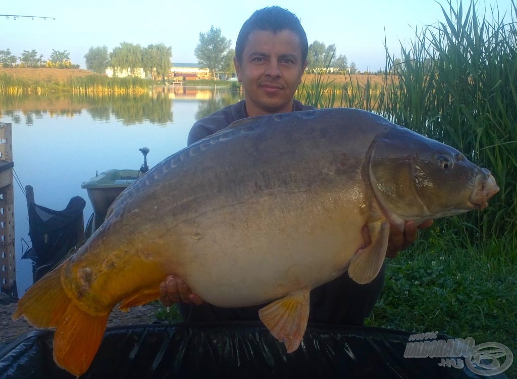 Az első éjszaka legnagyobb hala ez a 15,50 kg-os tükörponty volt