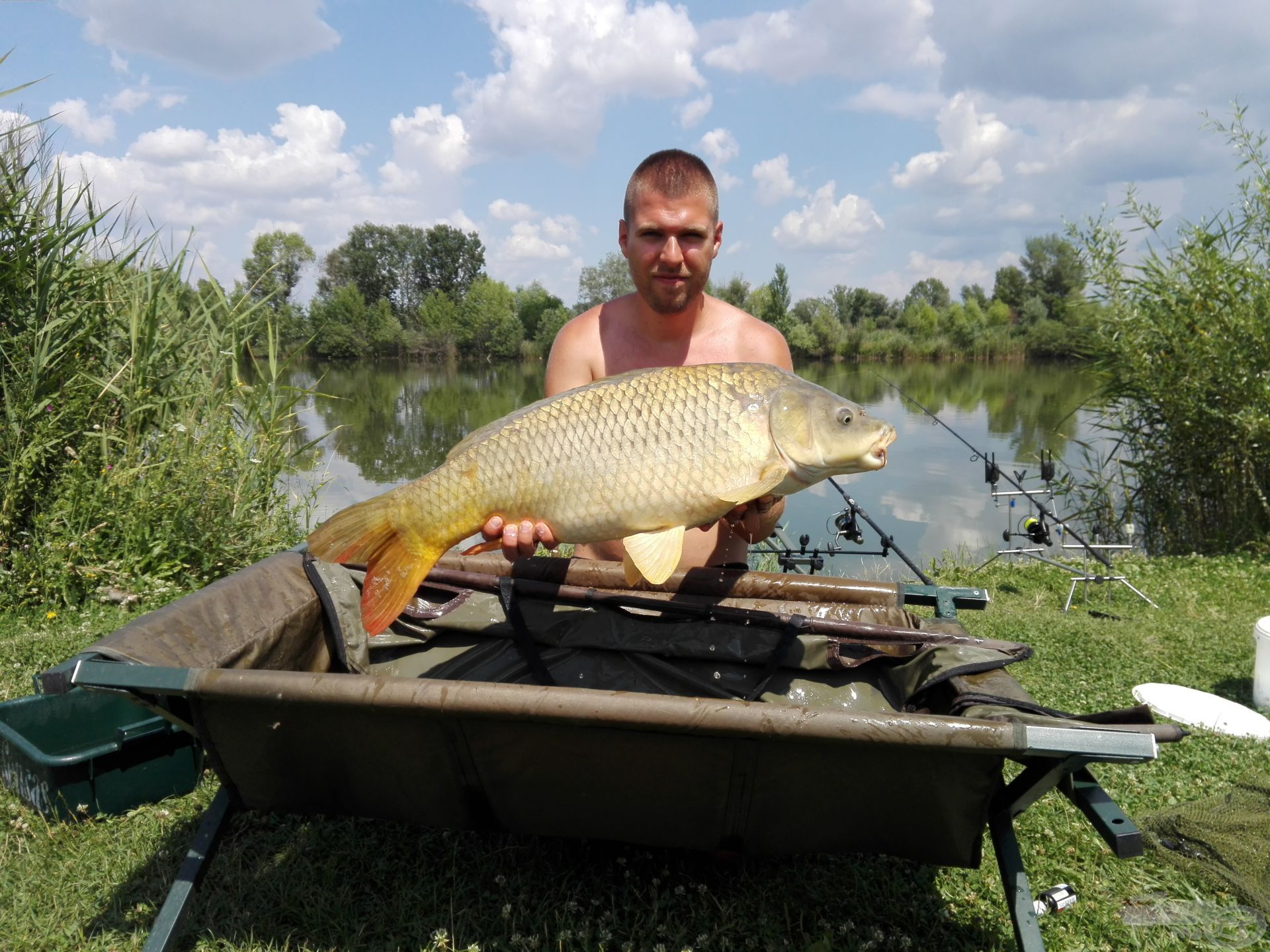 Egy harcos ponty a kisebbek közül