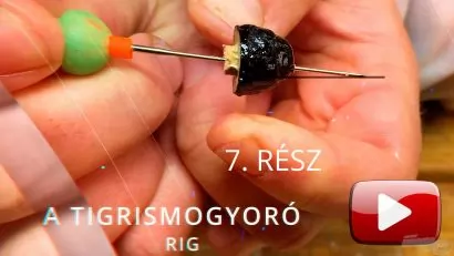 A Haldorádó Carp Team csalizási tippjei – 7. rész A Tigrismogyoró Rig