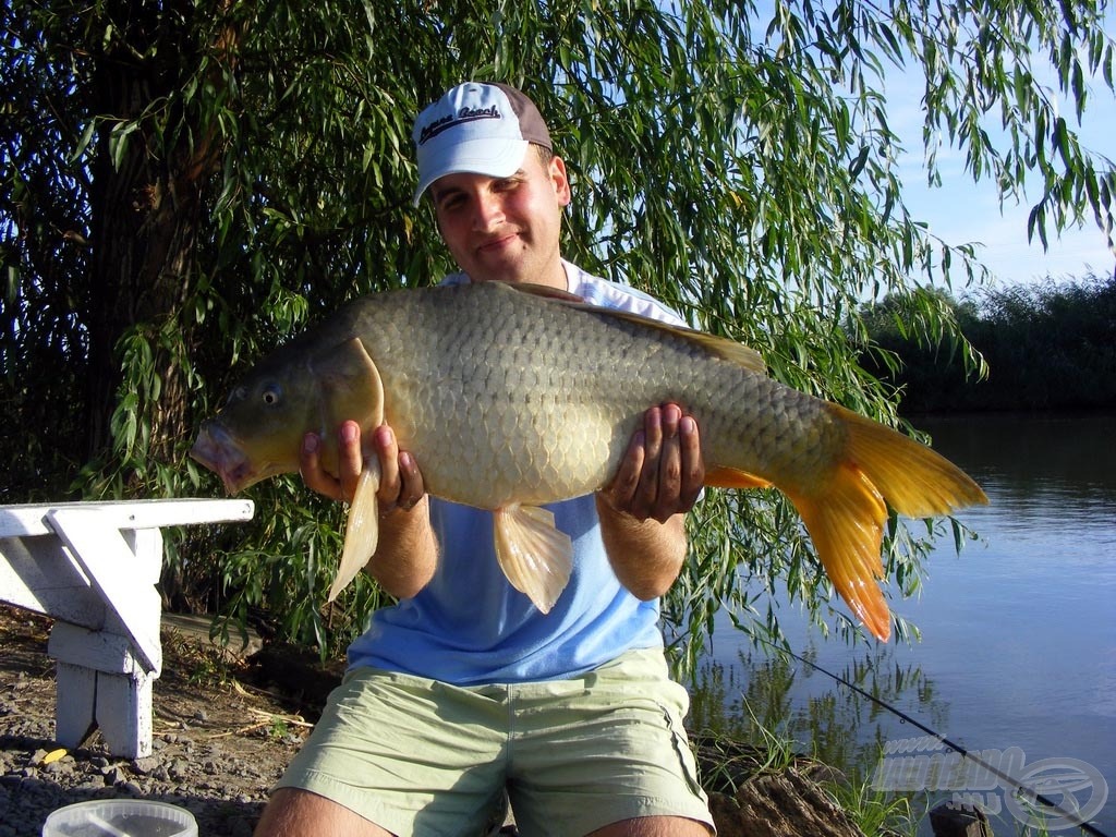 Megkoronázta a napomat ez a gyönyörű, 6,5 kg-os tőponty