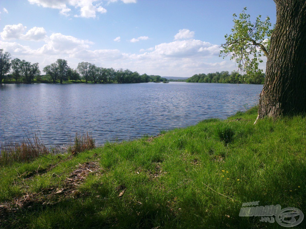 … lehetne egy otthoni Tisza-holtág is, de ez egy bajor Duna-holtág