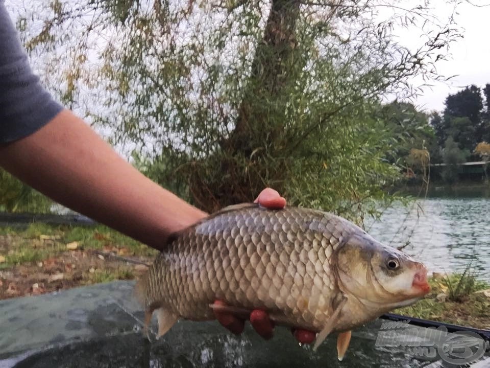 Következő szerencsés jelentkező