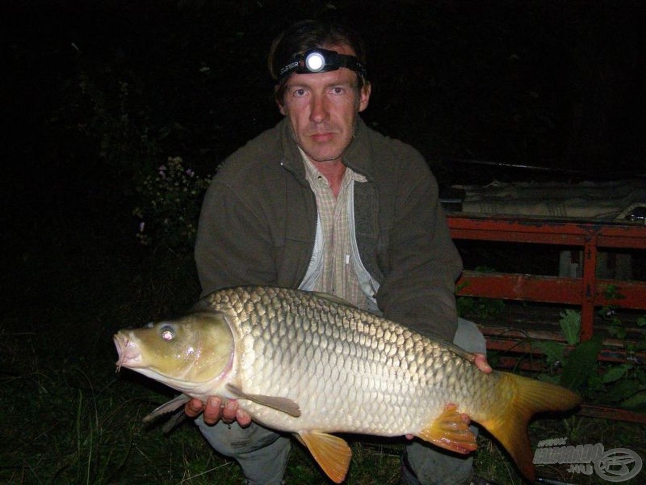 A második éjjeli harcos: 8,00 kg