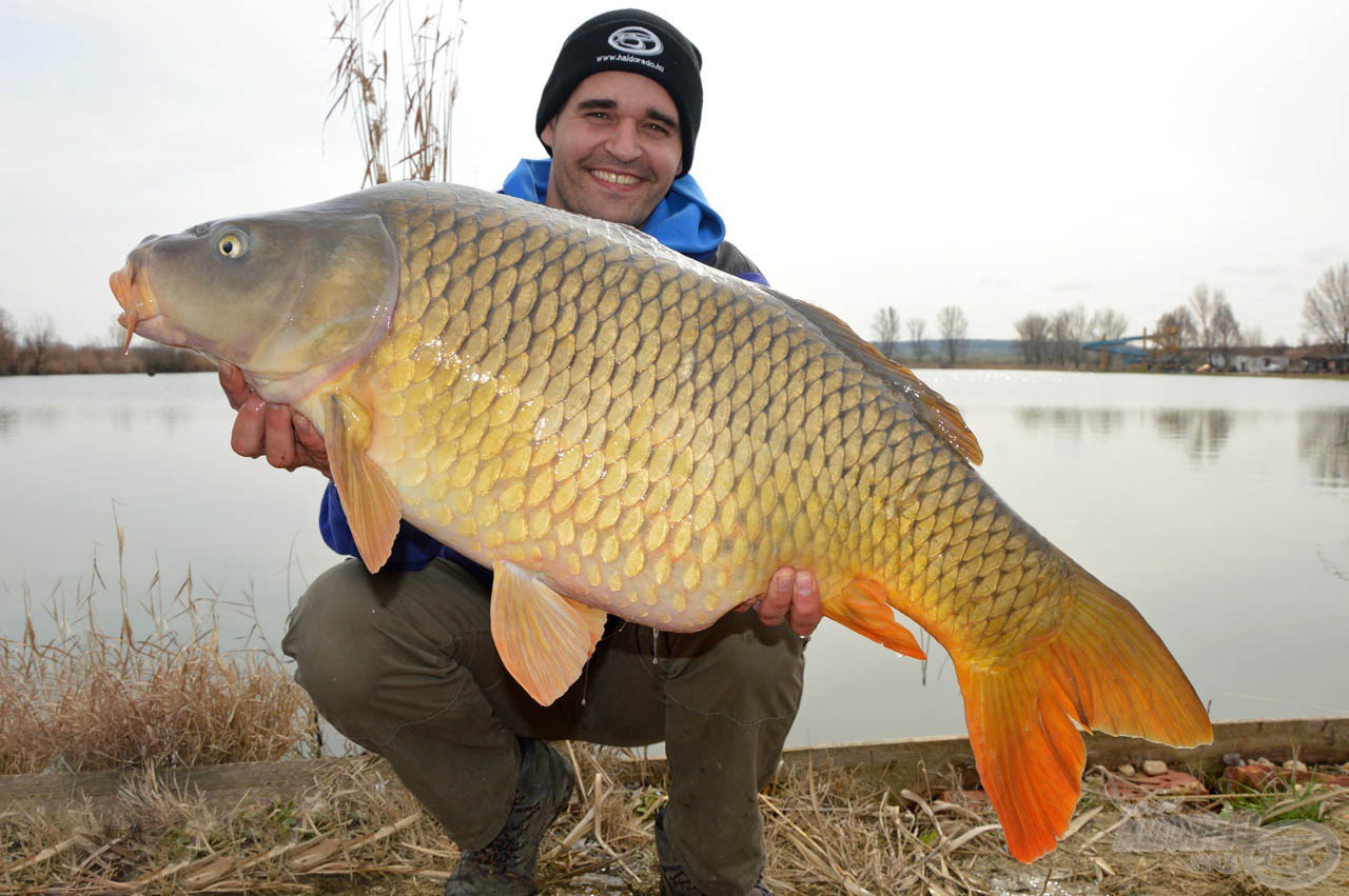 Hibátlan, 15,20 kg-os tőponty! Ennél jobban nem kezdődhetett volna a nap!