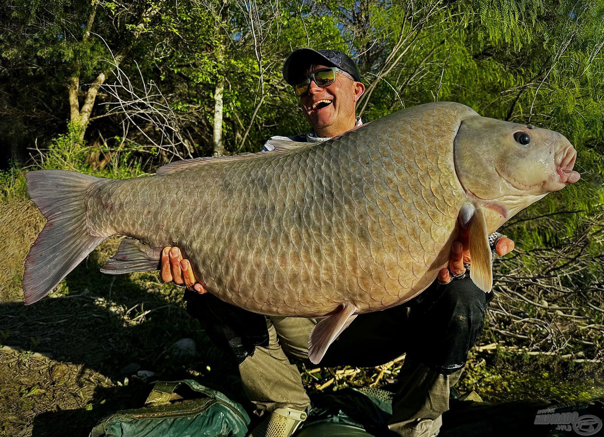 … életem legnagyobb Buffalo Carpja lett!!! A pontos súlya: 62 lbs = 28,086 kg!!!