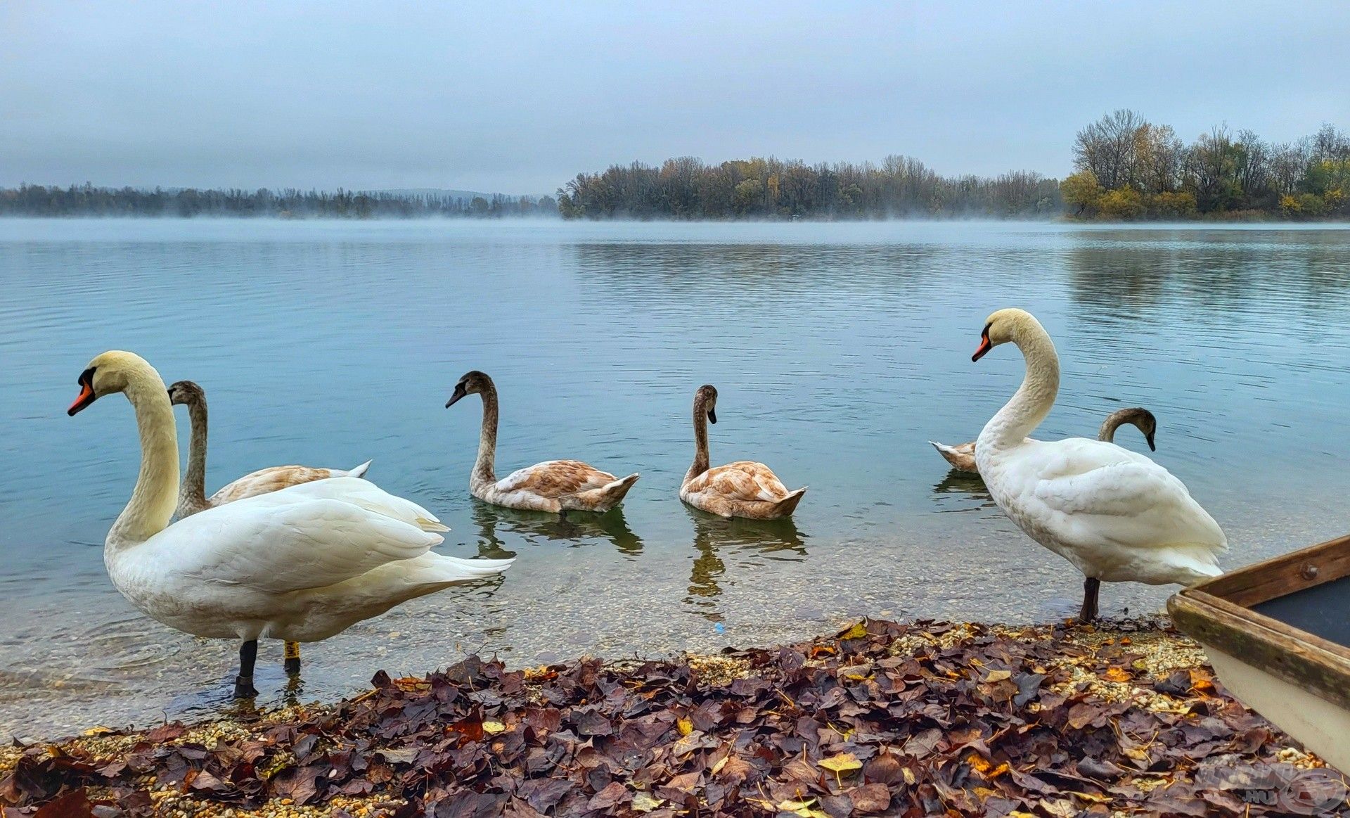 Hamar belopta magát a szívembe a tó és a környezet