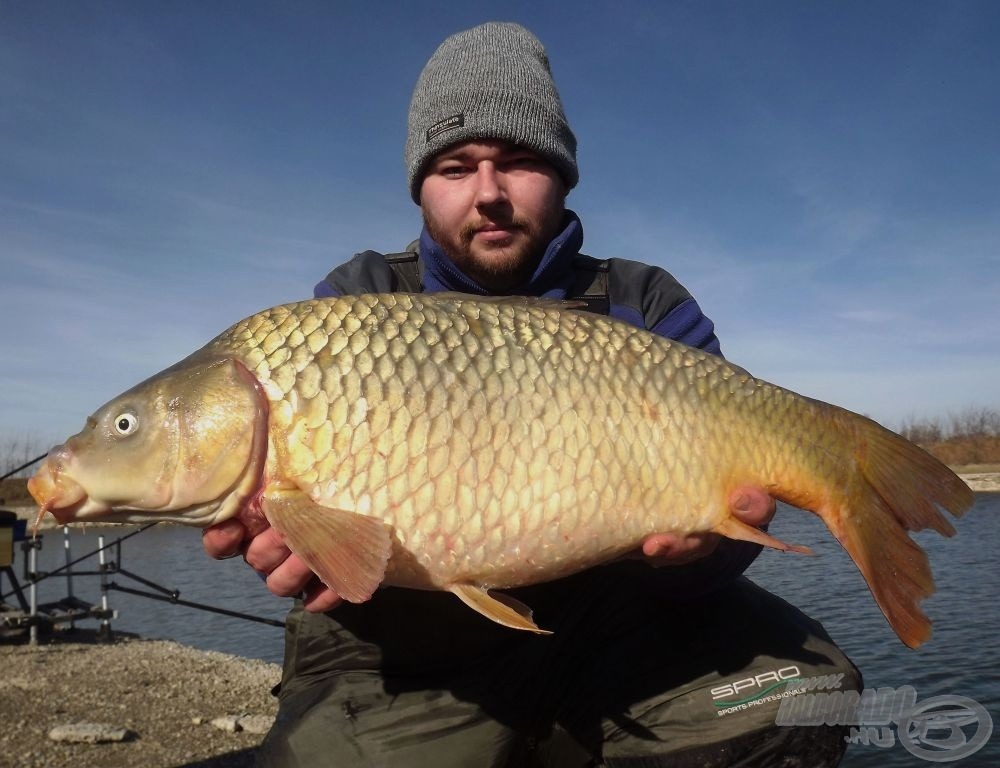 A legnagyobb ponty súlya 5,08 kg volt