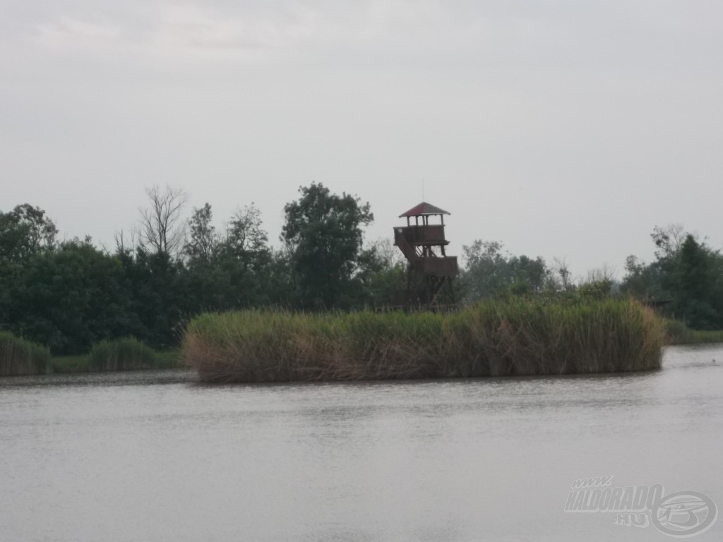 A tó mellett egy madár megfigyelő is található, ahonnan csodaszép a kilátás…