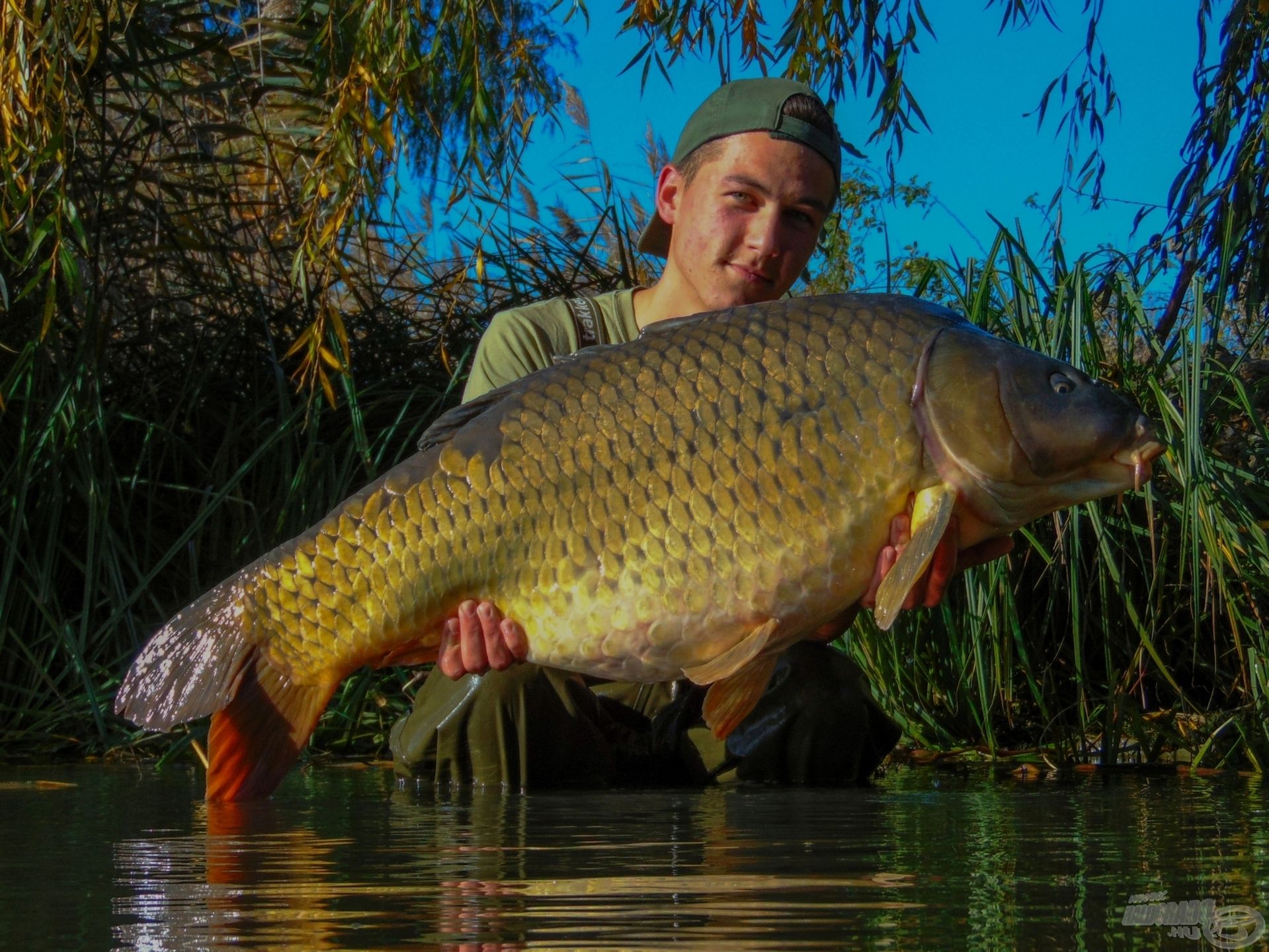 Íme, Foltos, a Kis-Balaton királya, itt közel 22 kilót nyomott