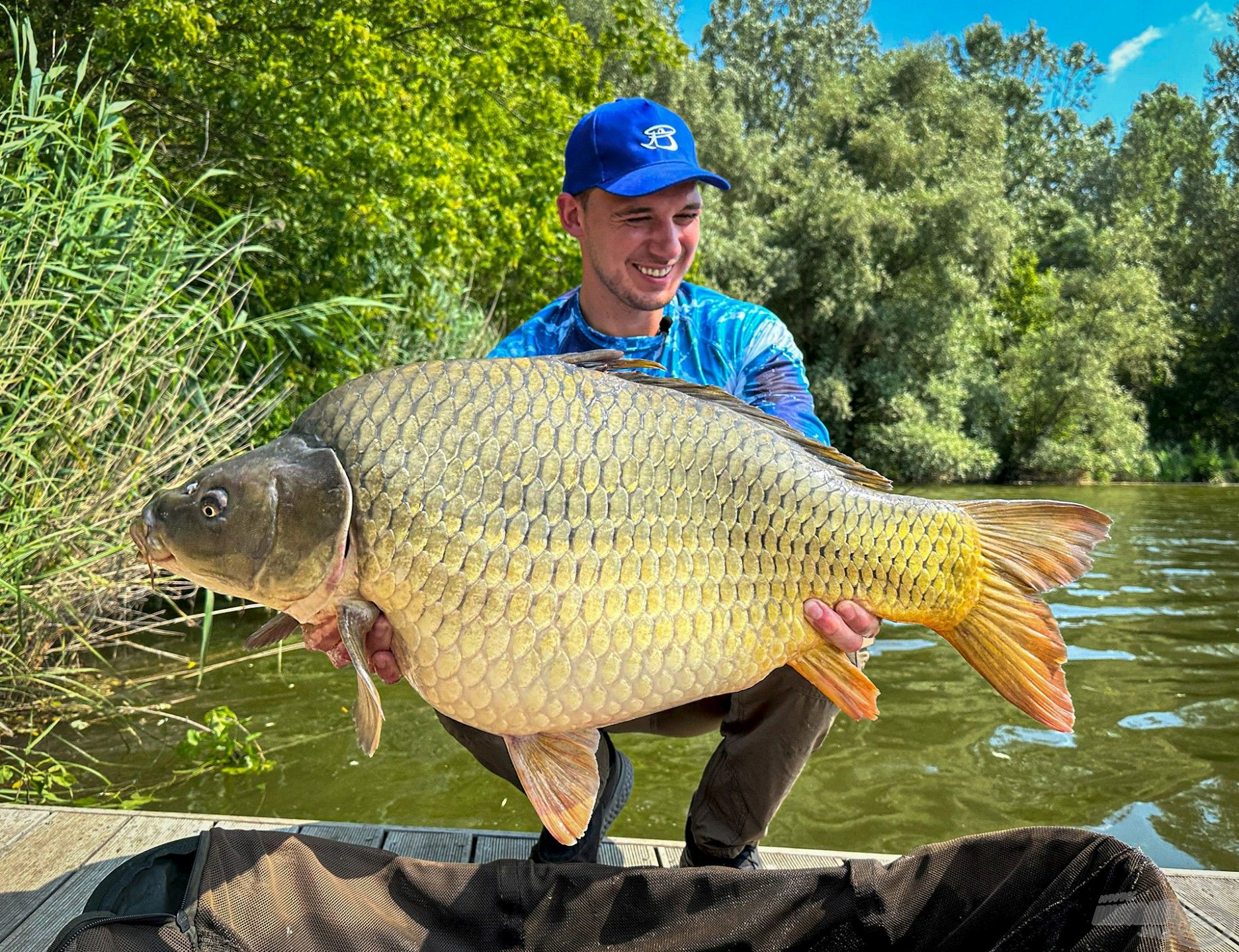 A nagytermetű pontyok horgászatának régi, jól bevált eszköze a Pellet Feeder kosár