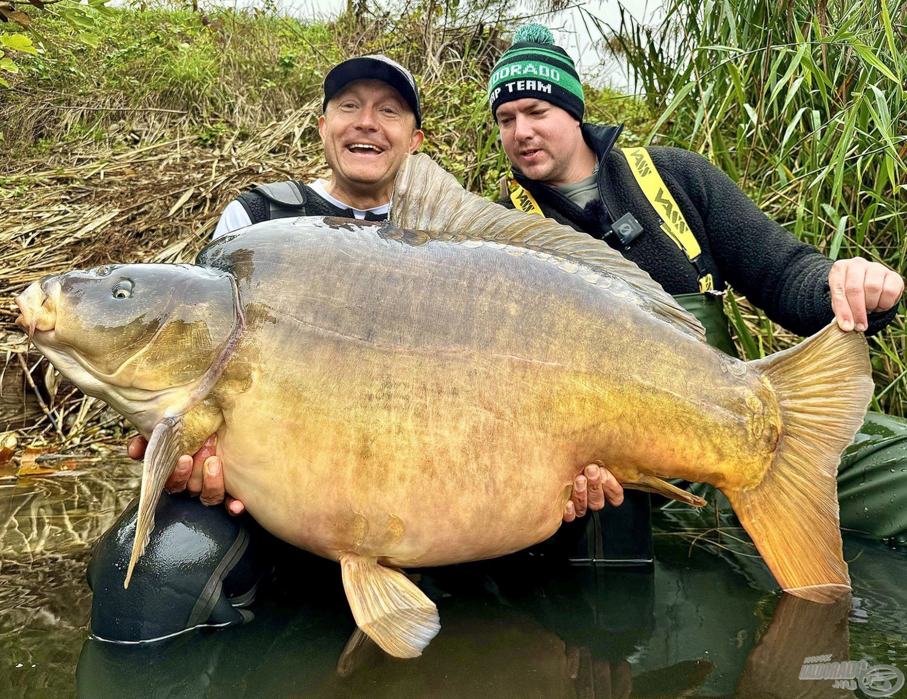 Rokolya Péter barátommal horgászpályafutásunk legnagyobb pontyát köszönhetjük ennek, egy 35,72 kg-os tükörpontyot, így Neked is jó szívvel ajánlom!