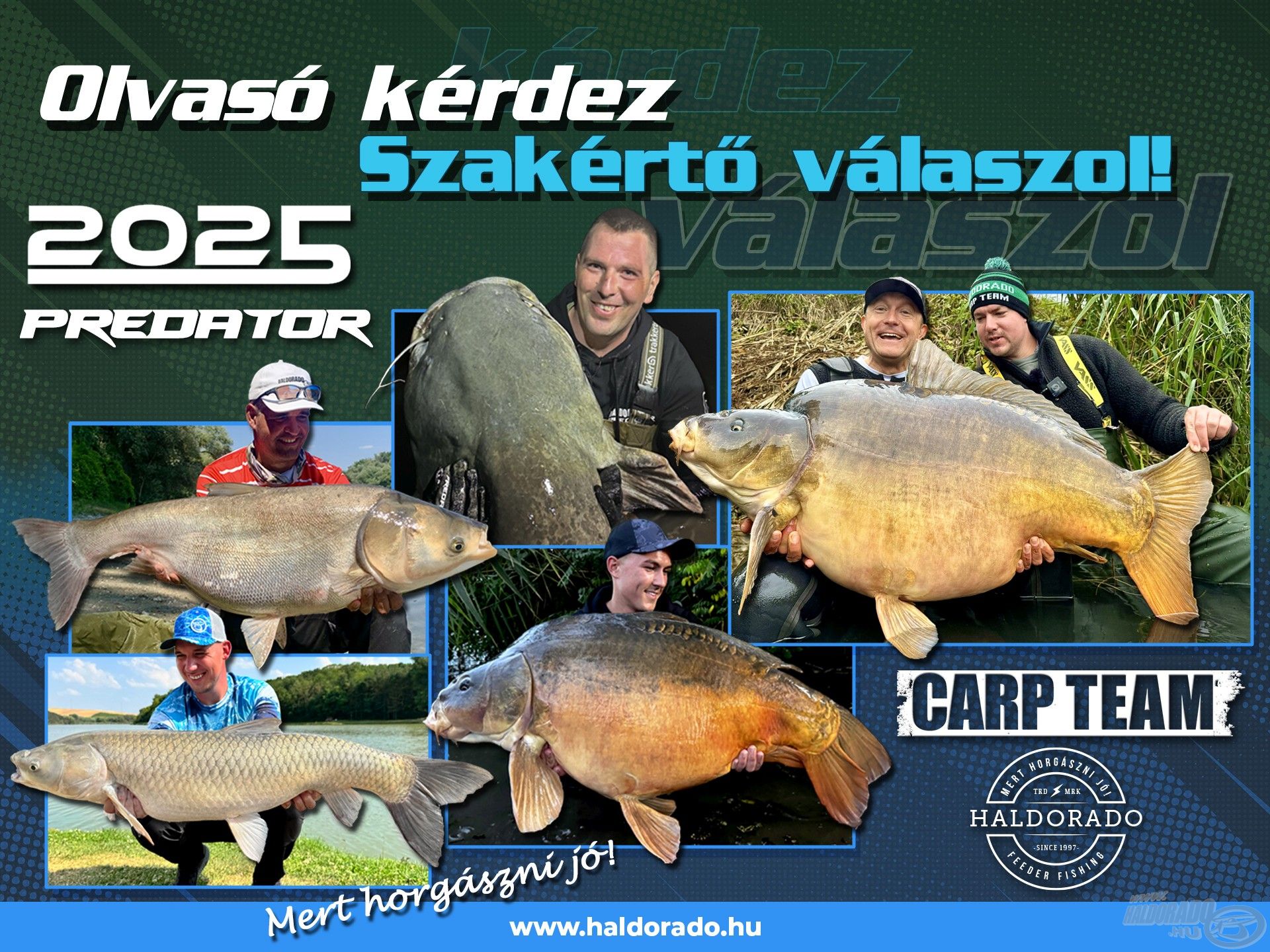 A szakértő válaszol – 182. rész