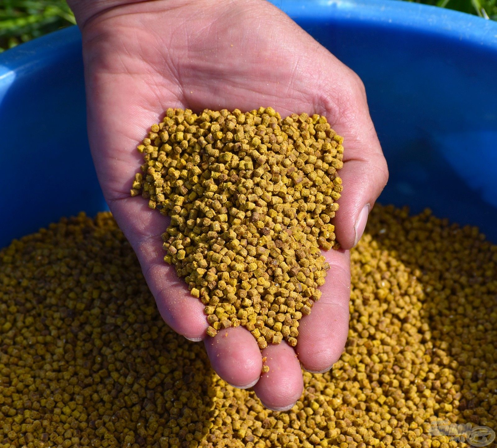 Ez a 2024-ben forgalomba hozott barna színű micro pellet intenzív, kellemes mogyoróaromája és íze mellett csíp, mint a veszedelem