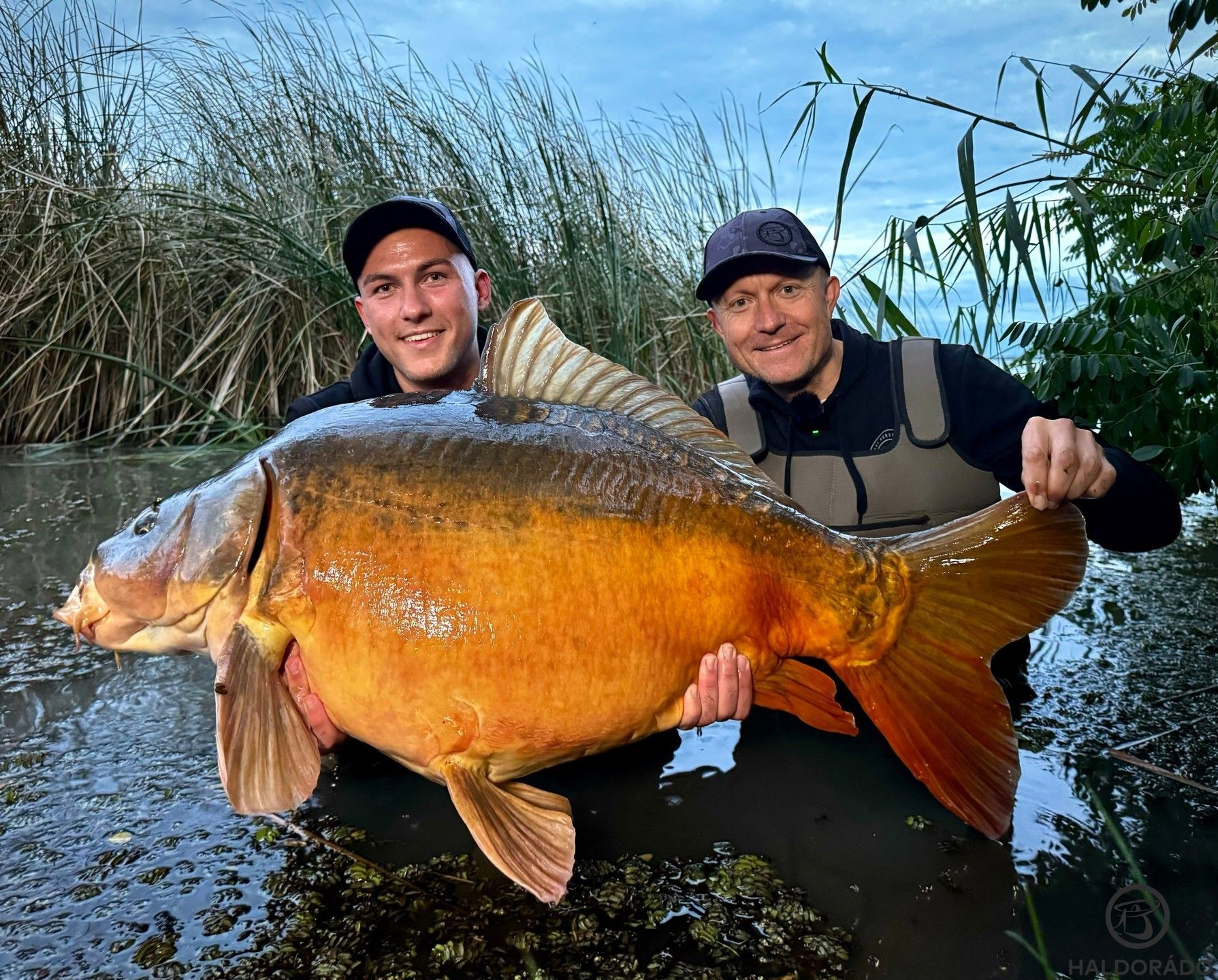 Hasonló fogásokat kívánok Neked is!