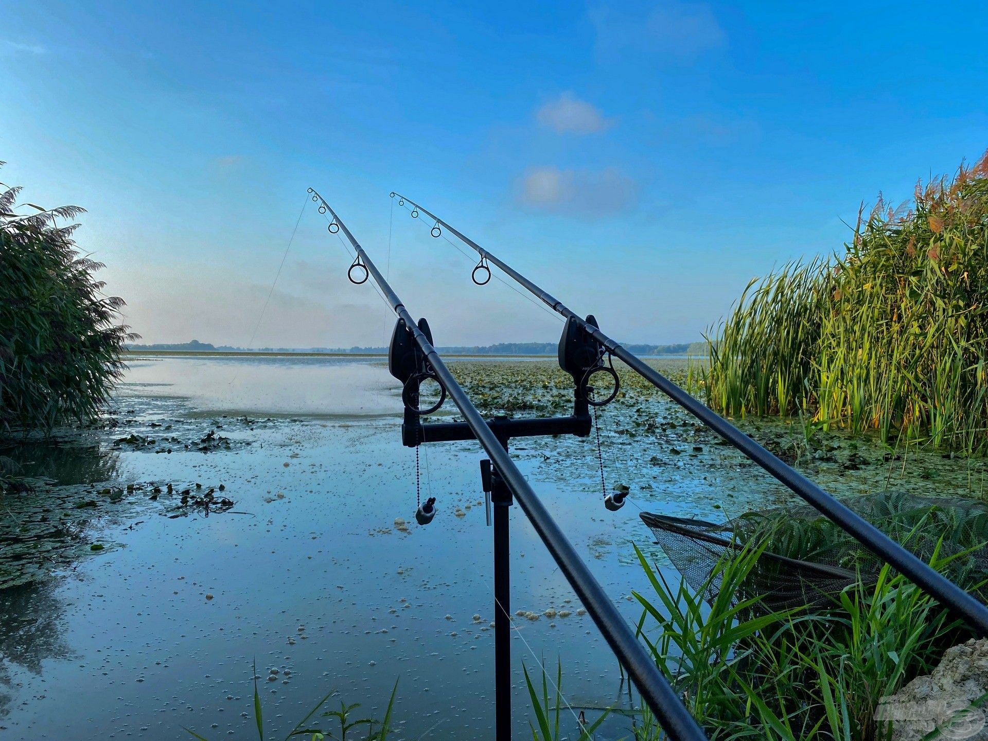 A Kis-Balaton nem egy egyszerű víz…