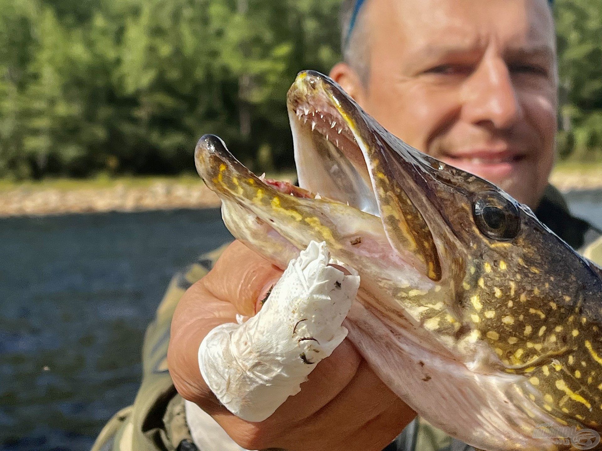 Zolit „apró” sérülése sem gátolta abban, hogy horgásszon