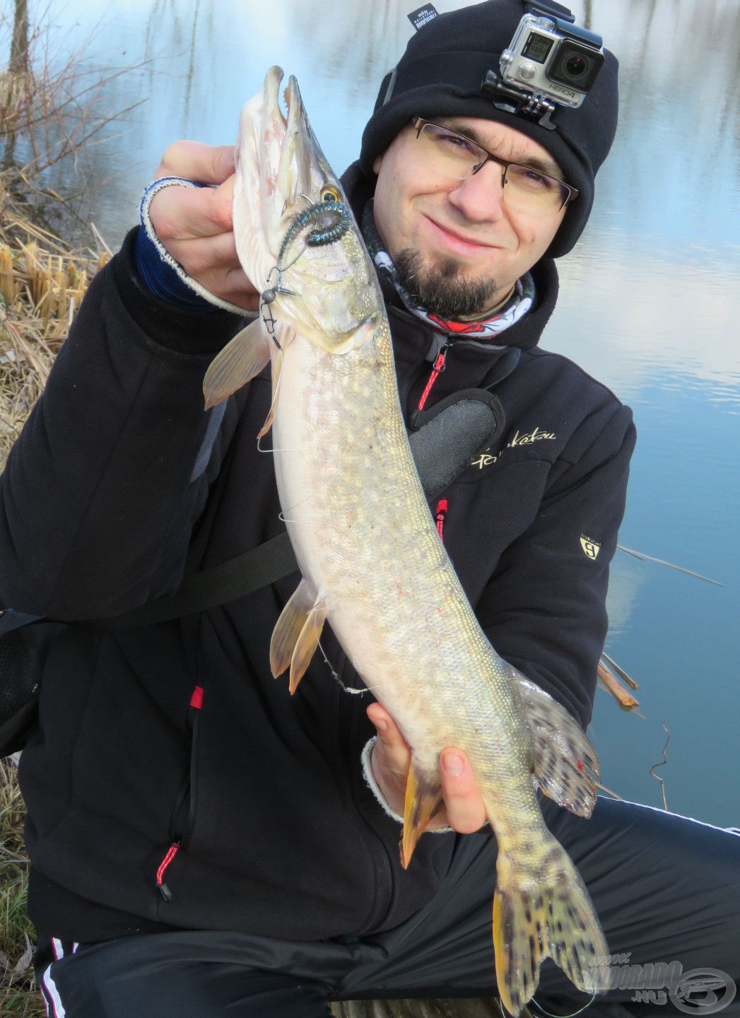 A „standard” méret 1-1,5 kg körüli halakat jelentett