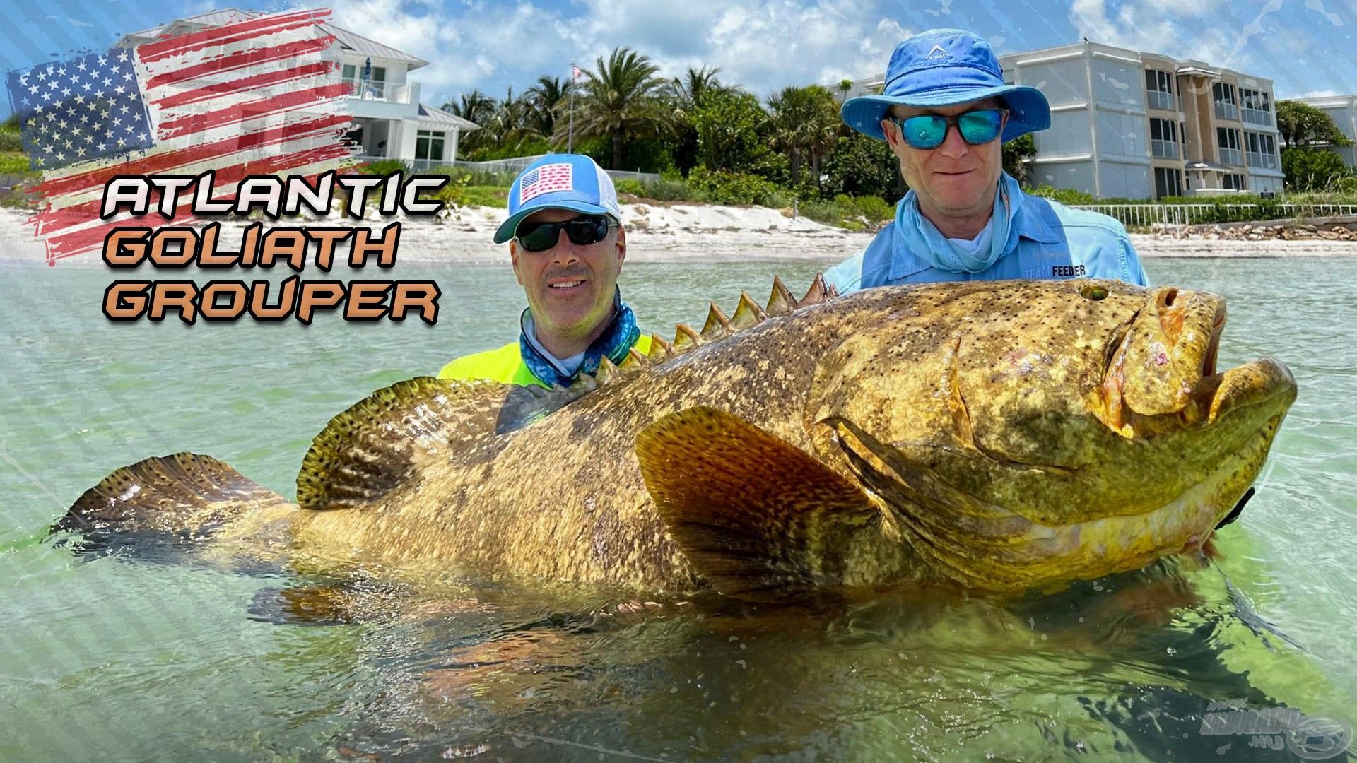 Amerikai vadvizek nagyvadjai – Goliath Grouper