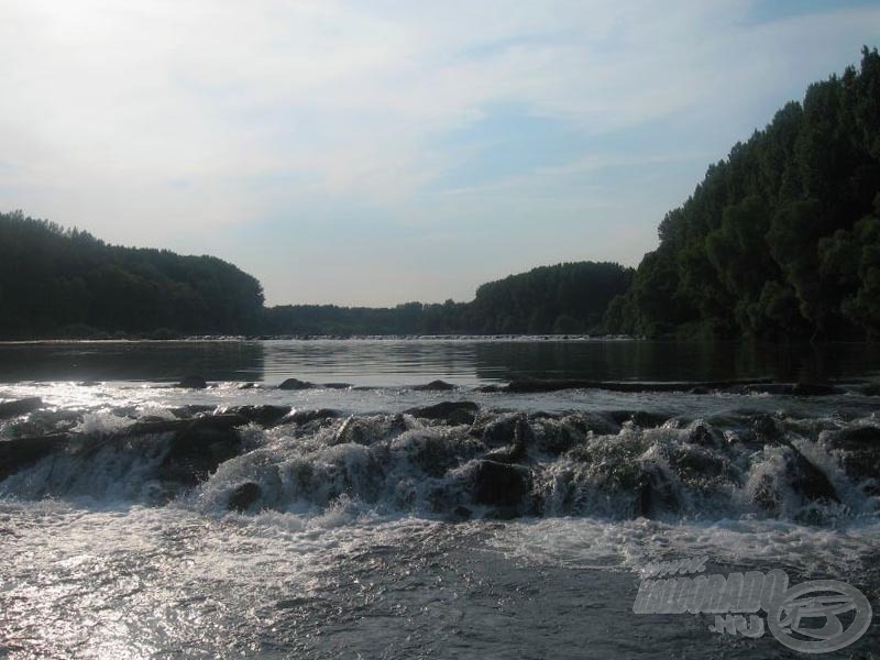 A vadregényes bősi Duna