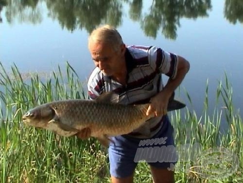 Fogom már a gyönyörű példányt