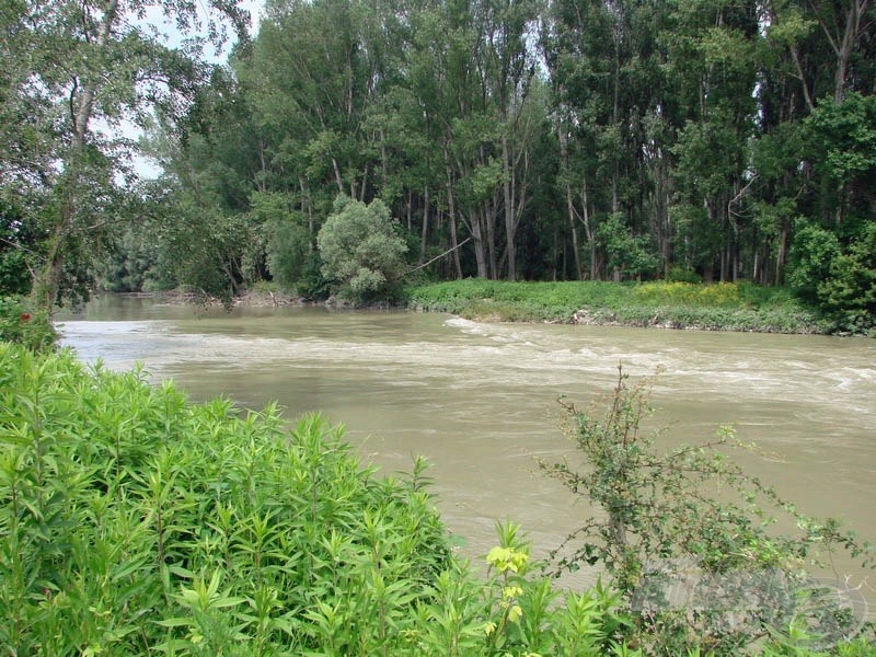 A rohanó víz