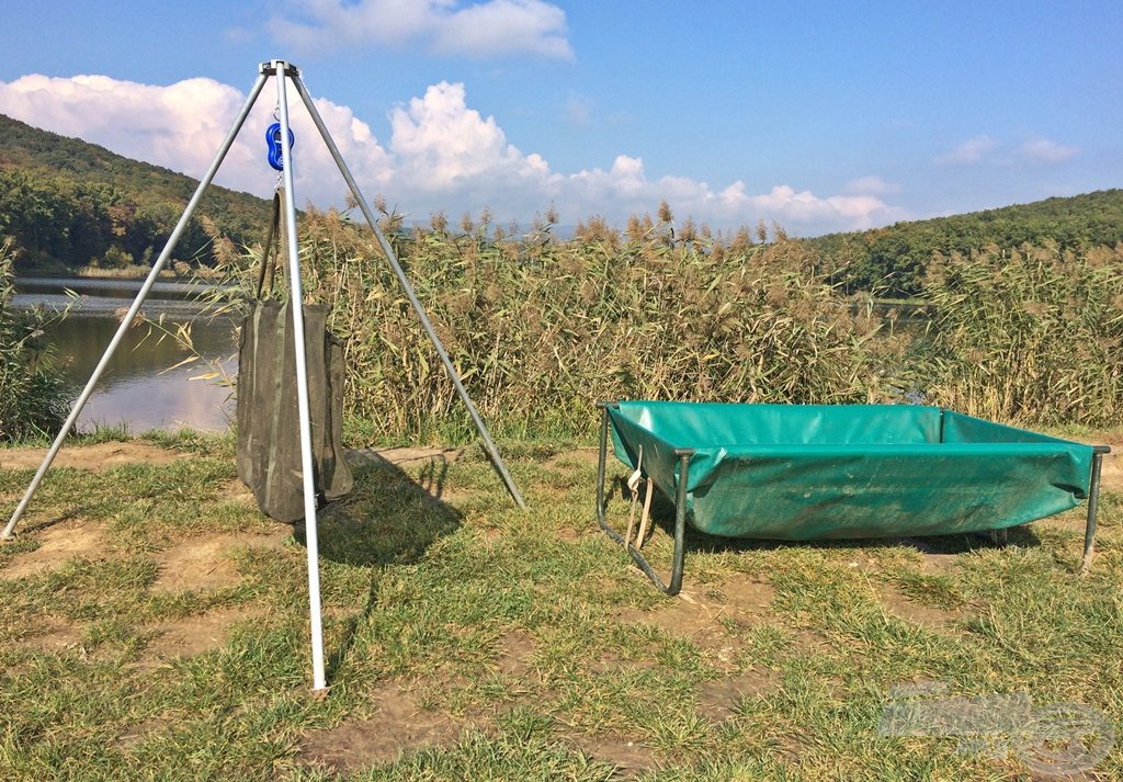 Bölcső, mérlegelő állvány. Ezek önmagukban is a horgászhelyhez tartoznak. Továbbá a horgászat alapfeltétele a sűrű szövésű merítőháló és a sebfertőtlenítő. Így lehetséges az, hogy a fotókon gyönyörű, egészséges halakkal pózolhatunk