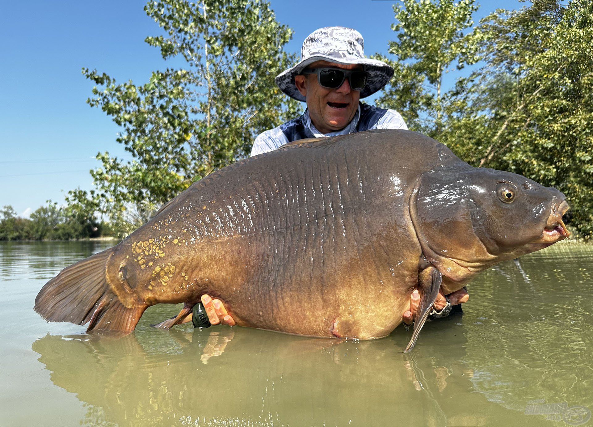 BUMM!!! Horgászpályafutásom legnagyobb tükörpontya 30,9 kg!!!