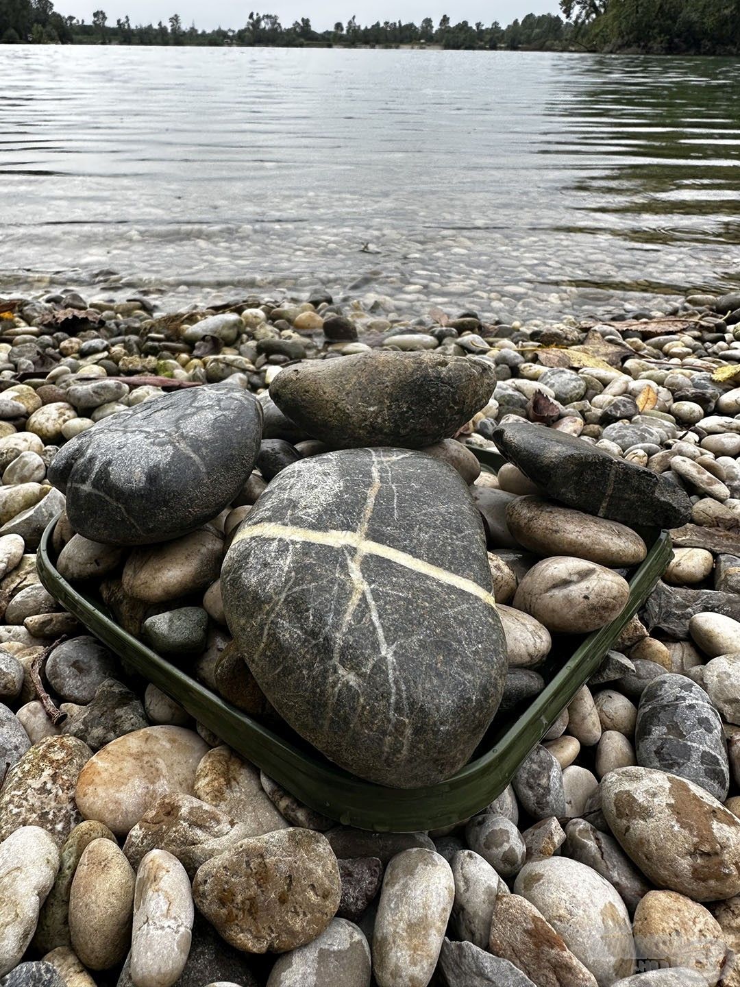 BUMM!!! 64 db halat fogtunk (minden kifogott ponty után egy kavicsot dobtunk a vödörbe), amelyből 22 db volt 20 kg feletti, ebből 5 db 25 kg felett és 2 db 30 kg felett!!! Nehéz lesz ezt bárhol máshol überelni, de azért megpróbáljuk!