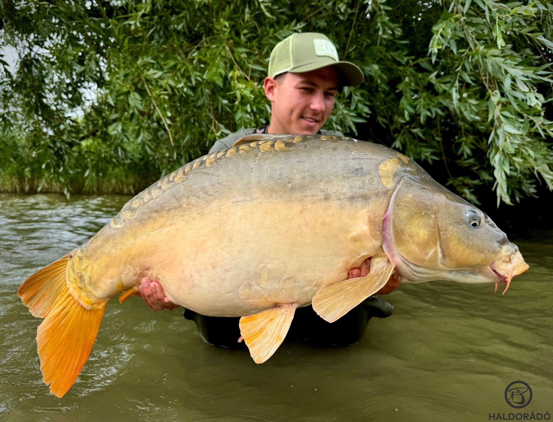 Nagyon jó súlyban és erőben volt