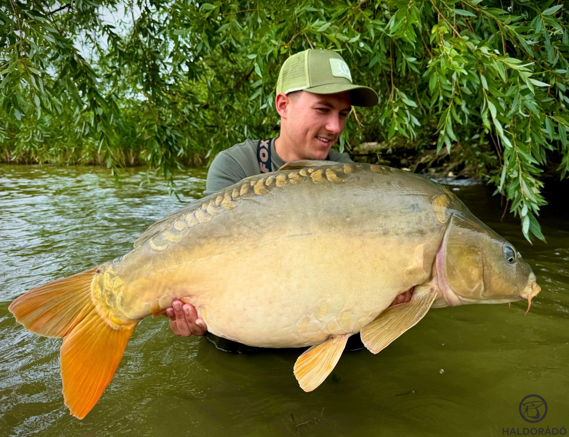 Az örökzöld Kis-Balaton