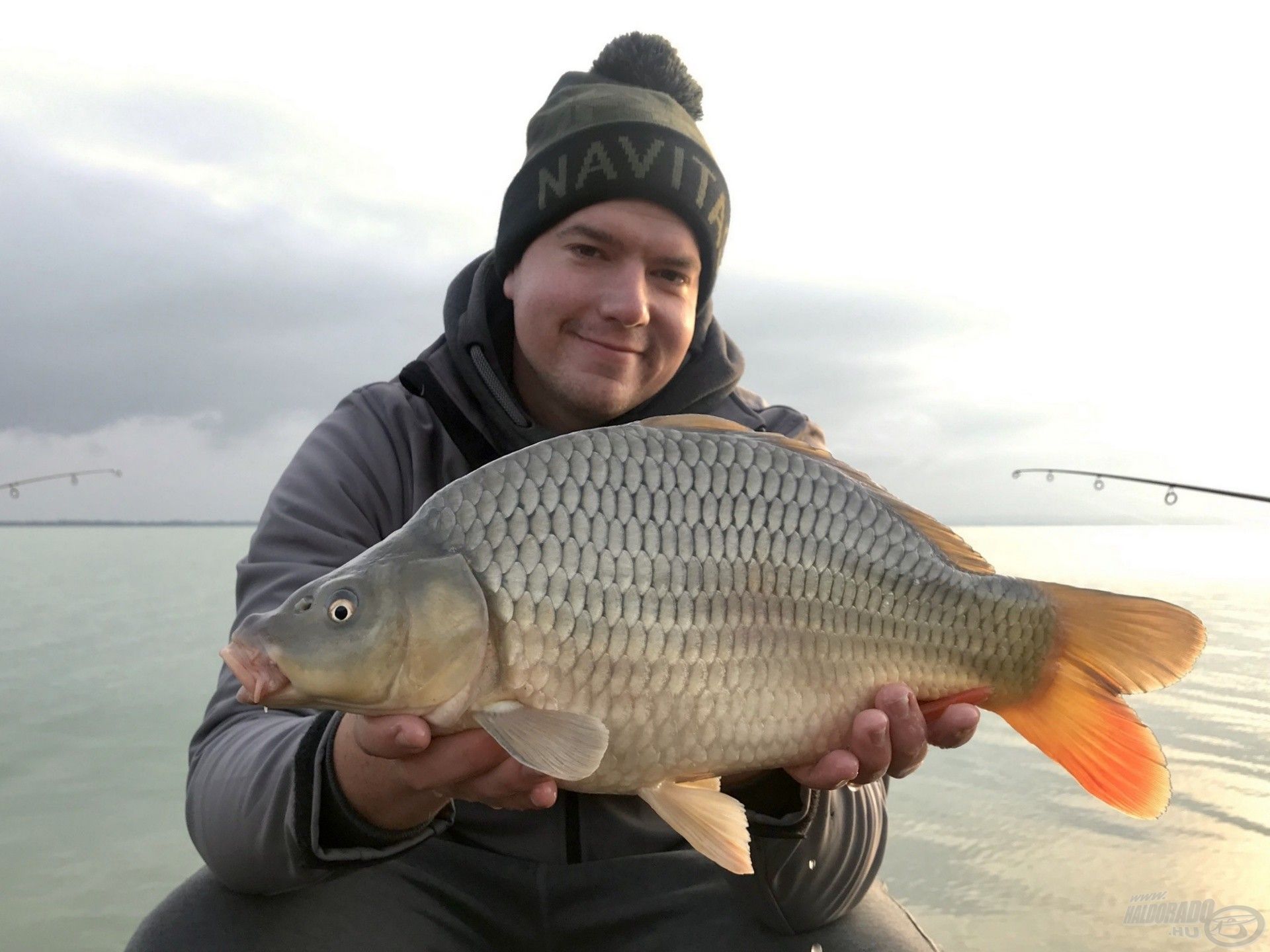 Nekem kezdetben ilyen kis „tányér pontyok” jutottak, de nem bosszankodtam, bíztam a Balatonban