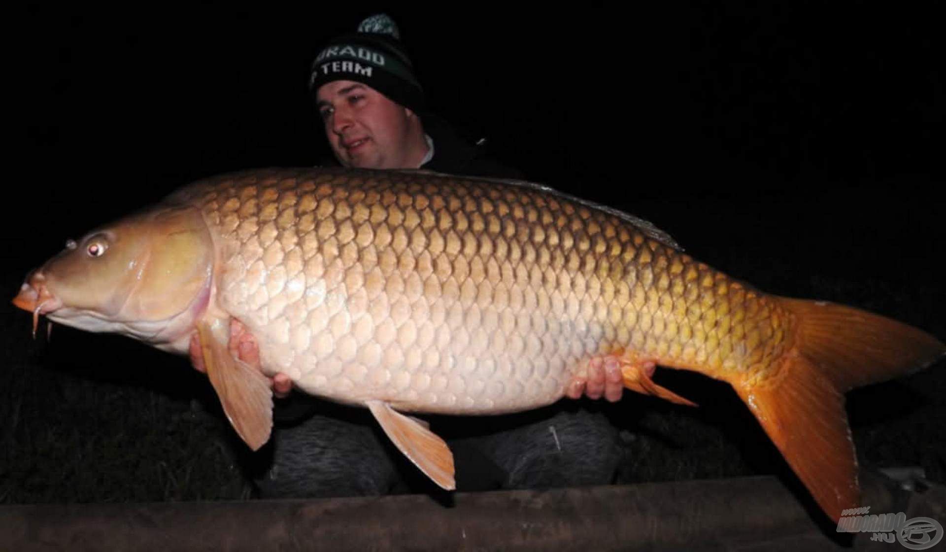 Idei első kiskorpádi túrámon ismét sikerült egy 20 kilogramm feletti halat megfognom. Óriási élmény volt a fárasztás minden perce. Komoly skalpot gyűjtöttem be vele