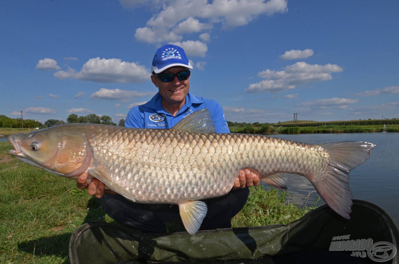 Legyen szó bármekkora halról, az új Master Carp Pro botokban mindegyik méltó ellenfélre talál, így nemcsak élmény, hanem eredményes is lesz velük a horgászat