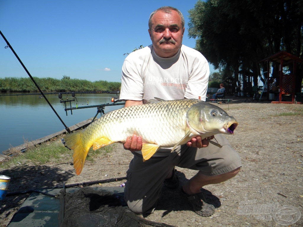 Nagy László barátom szép tőpontya