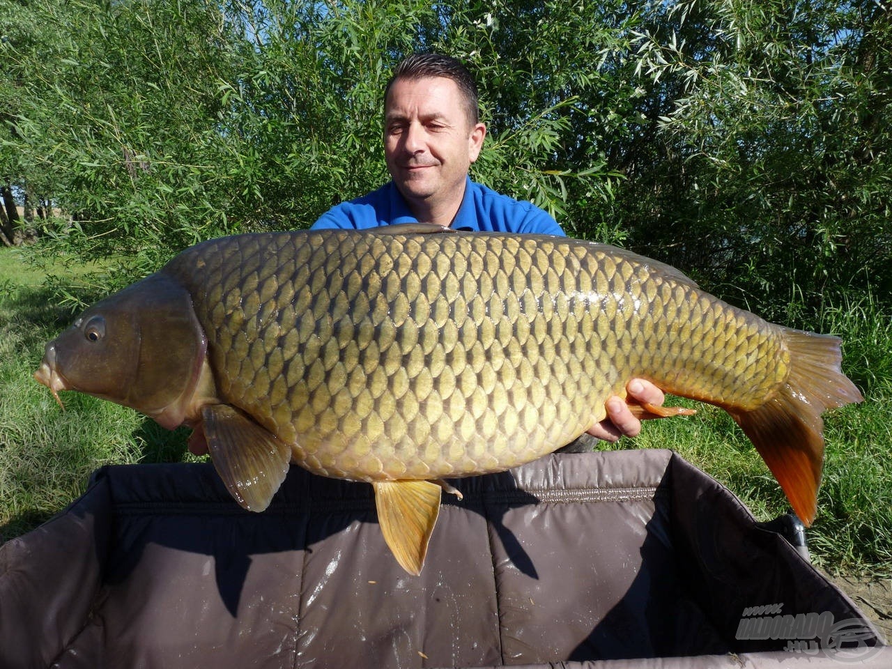 A nyári golyóval fogtam ezt a kapitális, 15 kg feletti példányt is